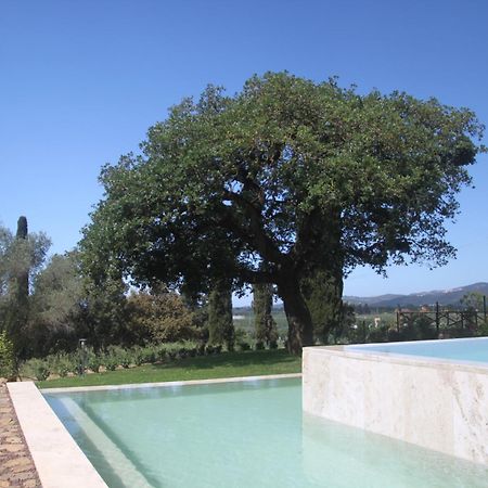 Agriturismo Il Broletto Суверето Екстериор снимка