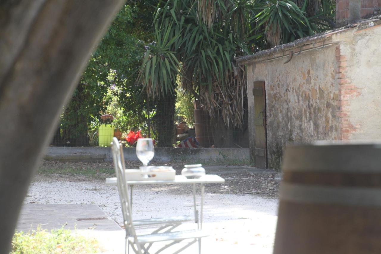 Agriturismo Il Broletto Суверето Екстериор снимка