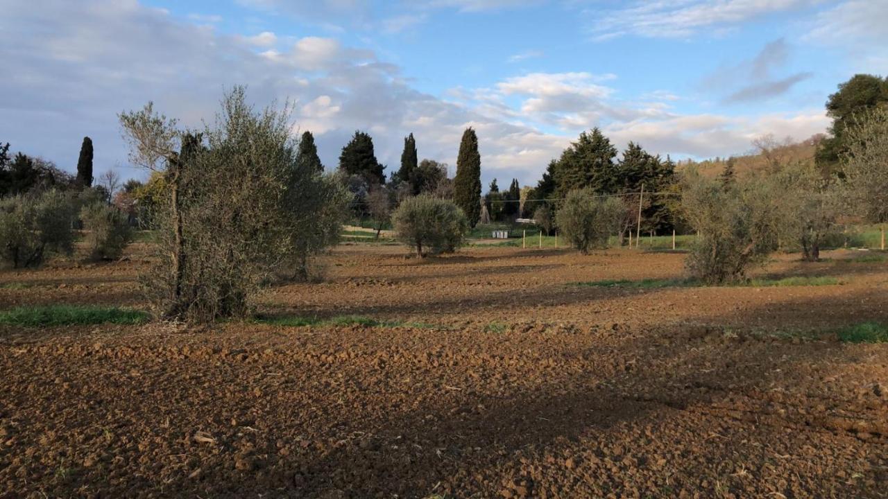 Agriturismo Il Broletto Суверето Екстериор снимка